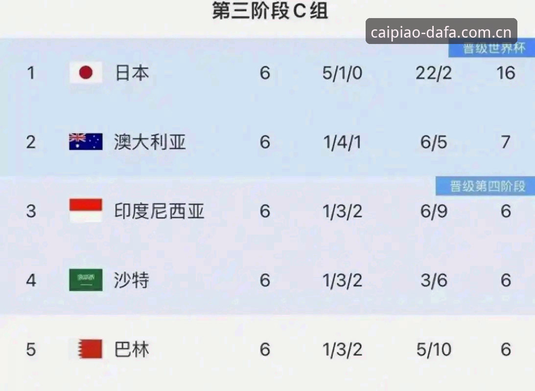 世界杯扩军实用知识指南：2030年66队参赛计划与新体验