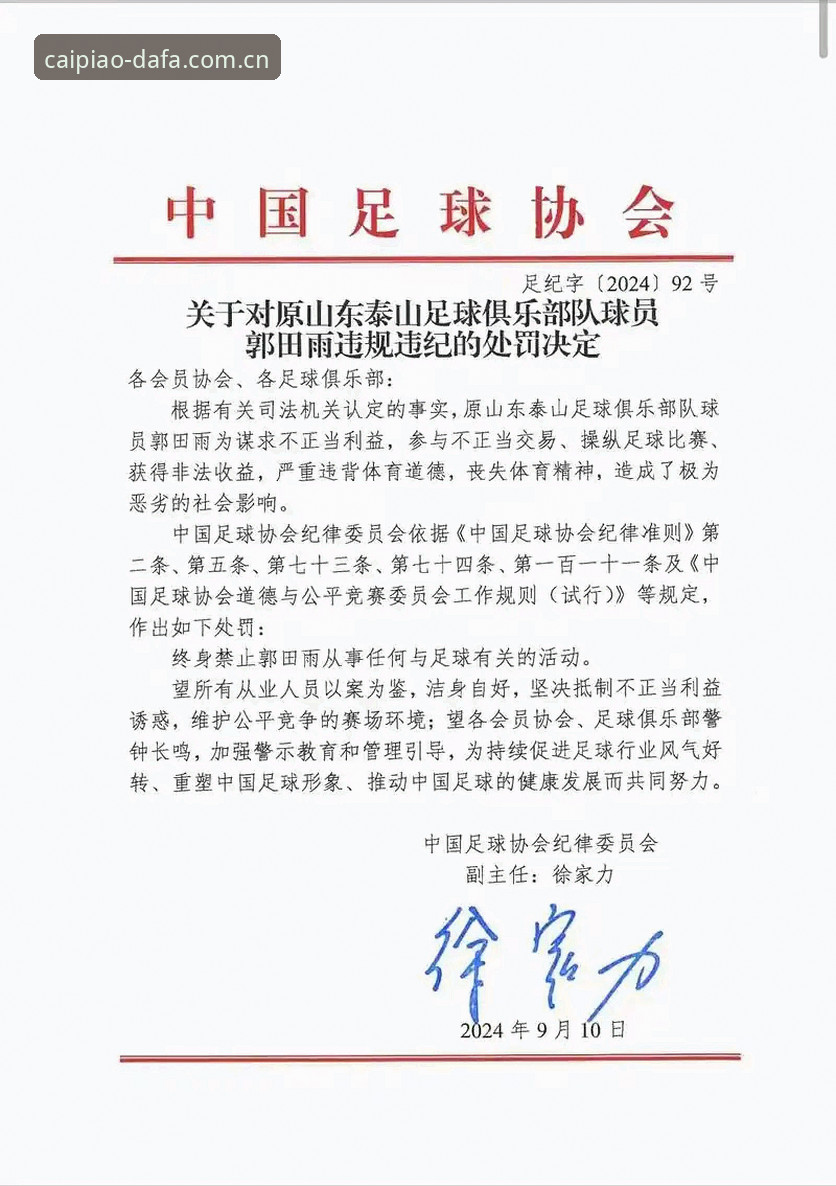 热门彩票玩法 中国足协第三批禁足名单深度分析——行业乱象与治理新篇